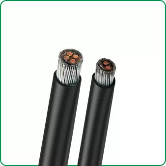 SWA Cable N2XRY  Copper Conductor SWA 0.6/1kV Cable，CU/XLPE/SWA/PVC