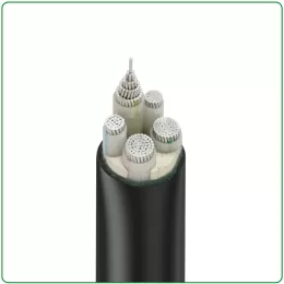 XLPE Insulated Aluminium Power cables,0.6/1KV,NA2XY Cable