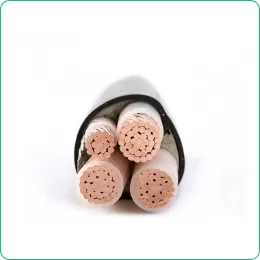 CU/XLPE/PVC YJV Copper Conductor Insulated Polyvinyl Chloride Sheathed Power Cable Electric Cable
